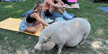 Farm Yoga