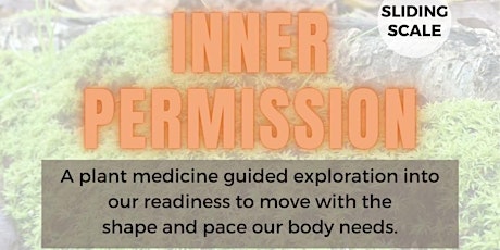 Inner Permission: Integration Medicine with Sufia
