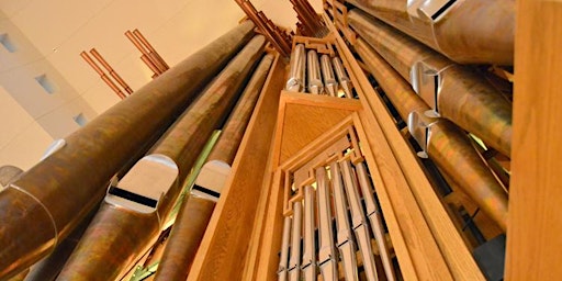 INCOSE North Star: The Wooddale Organ  primärbild