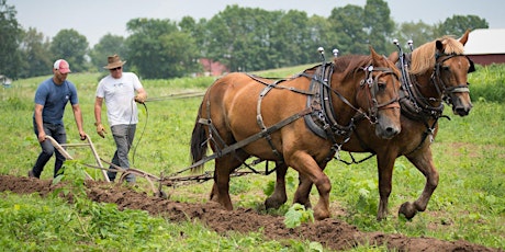 Plow Day 2024 primary image