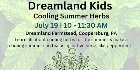 Dreamland Kids: Cooling Summer Herbs