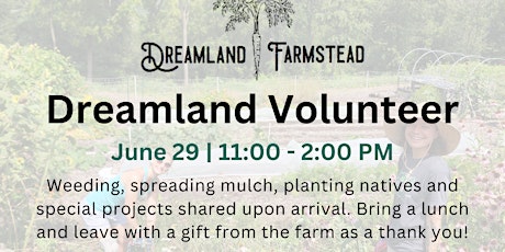 Dreamland Volunteers: June on the Farm