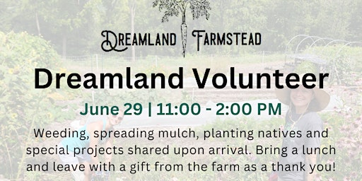 Dreamland Volunteers: June on the Farm primary image