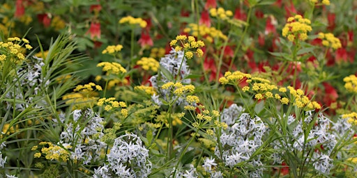 Pollinator Garden Tour primary image