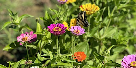 Flower Happy Hour to Benefit Midview Girls Golf Program