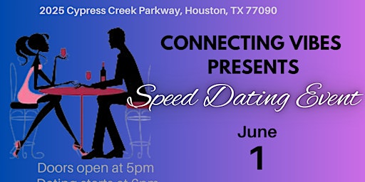 Imagem principal de Connecting Vibes      Speed Dating Event