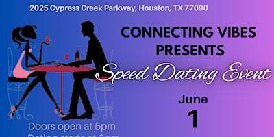 Primaire afbeelding van Connecting Vibes      Speed Dating Event