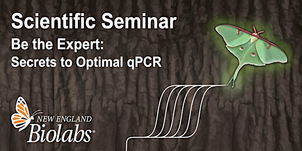 Be the Expert: Secrets to Optimal qPCR
