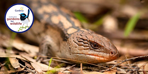 Primaire afbeelding van Wildlife friendly gardening