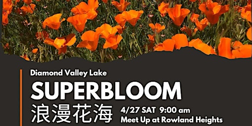 4/27 LAHKCC Superbloom 賞花/行山團 primary image