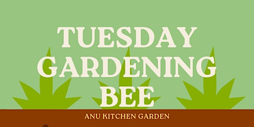 Hauptbild für Gardening Bee @ The Plot