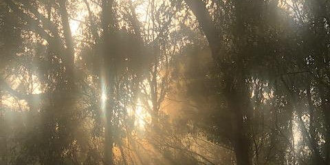 Imagem principal de Ascending evening with Jaya and Mahadeva - Warrandyte