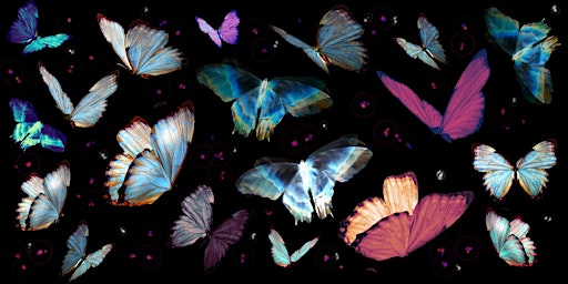 Immagine principale di Madame Butterfly’s Aria: Reminiscence to Hope 