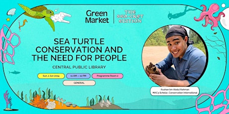 Sea Turtle Conservation and The Need for People | Green Market
