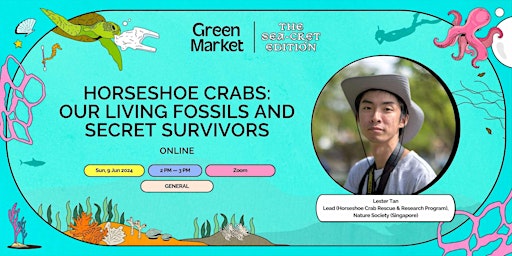 Imagem principal do evento Horseshoe Crabs: Our Living Fossils and Secret Survivors | Green Market
