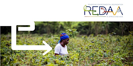 REDAA grant call 2: scaling up locally-led restoration