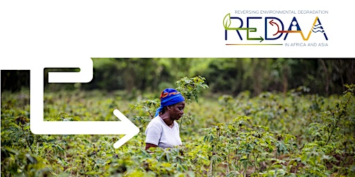 Imagem principal do evento REDAA grant call 2: scaling up locally-led restoration