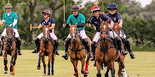 Imagen principal de OUPC Polo Trinity Taster Session I