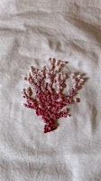 Primaire afbeelding van Seaweed Embroidery Workshop (booking required)