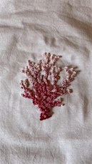 Seaweed Embroidery Workshop (booking required)
