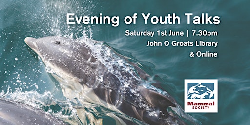 Evening of Youth Talks primary image