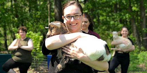 Imagem principal do evento Goat Yoga