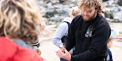 Cornwall Wildlife Trust Rockpool Ramble (booking not required) primary image