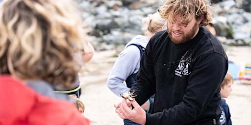 Cornwall Wildlife Trust Rockpool Ramble (booking not required)