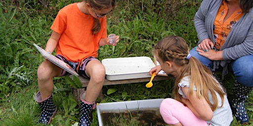 Home Educators Day: River Investigation, Tuesday 21 May primary image