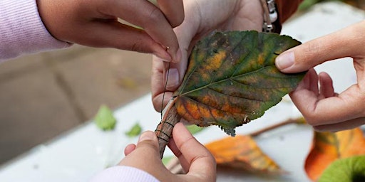 Image principale de Stitching Gardens Together