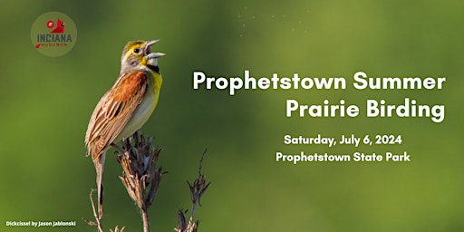 Primaire afbeelding van Prophetstown Prairie Birding Field Trip