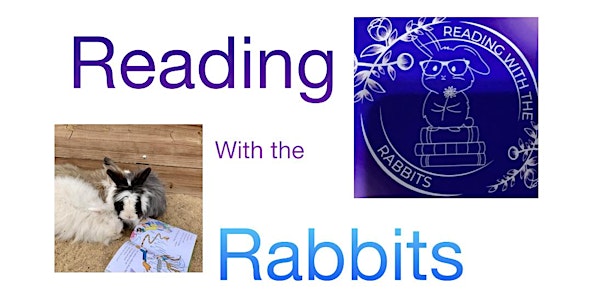 Reading with the Rabbits story time