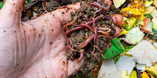 Imagem principal de QUICK AND DIRTY: intro to worm composting