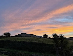 Bláth Bán na Bealtaine