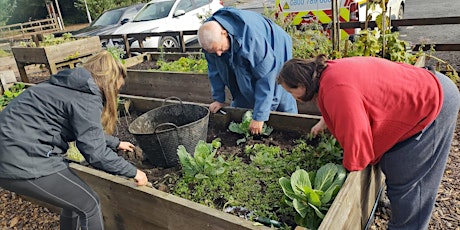 5 Ways to Wellbeing Volunteering session learning gardening techniques
