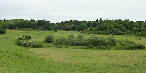 Image principale de Morning birding walk around Waterford Heath