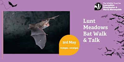 Bat Walk & Talk at Lunt Meadows primary image