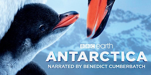 Imagem principal do evento BBC Earth Antarctica: BBC Studios Natural History Unit