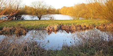 Bird spotting walk around West Hyde Gravel Pits (Rickmansworth) primary image