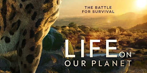 Imagem principal do evento Behind-the-scenes talk: Life on Our Planet with Silverback Films