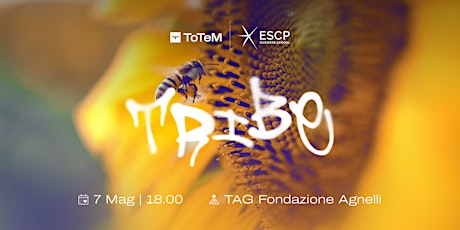 Tribe by ToTeM #15 - Come acquisire clienti B2B e B2C per la tua startup?