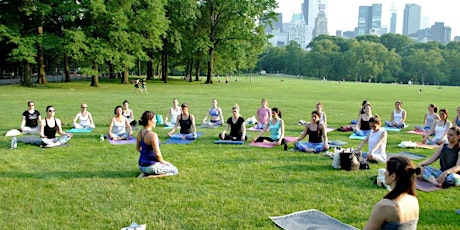 Yoga & Tea in the Park