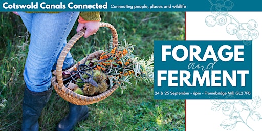 Forage and Ferment primary image