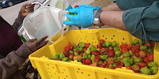 Hauptbild für Volunteer Night @ Feed Iowa First | GAP and Food Safety Certification Night