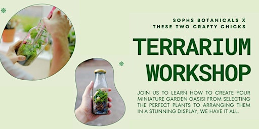 Imagem principal do evento Terranium Workshop with Soph's Botanicals