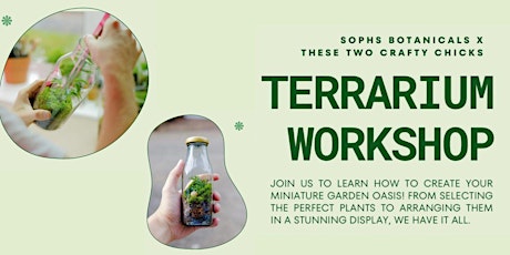 Terranium Workshop with Soph's Botanicals