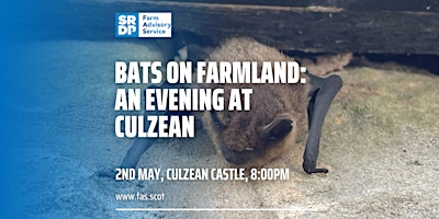 Imagem principal do evento Bats on Farmland: An Evening at Culzean