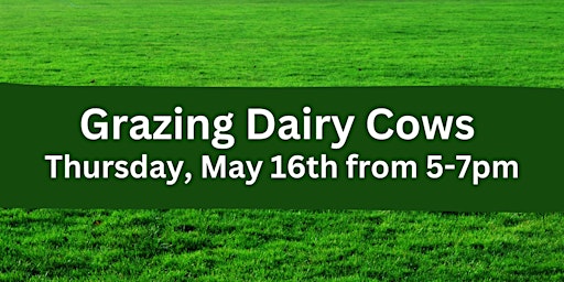 Imagem principal do evento Grazing Dairy Cows