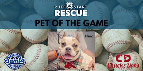 "Pet of the Game" at the St. Paul Saints