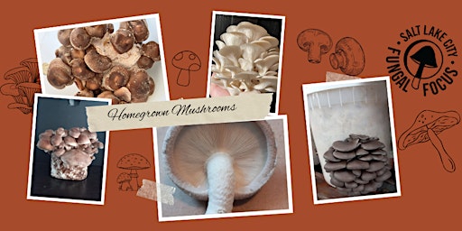 Introduction to Mycology and Mushroom Cultivation primary image